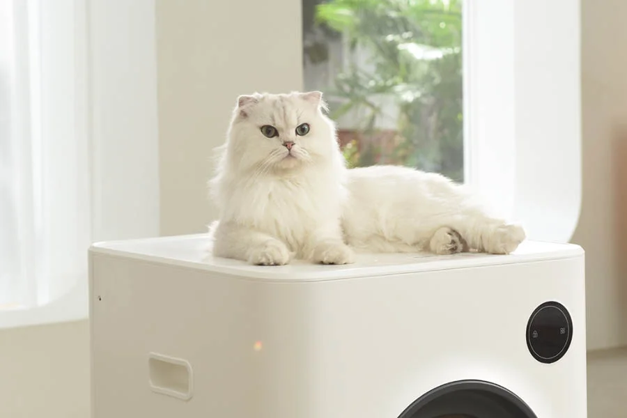 mechanical litter box