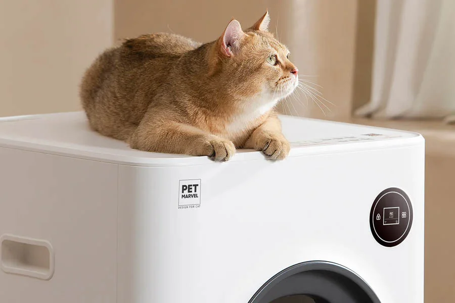 self cleaning litter box review