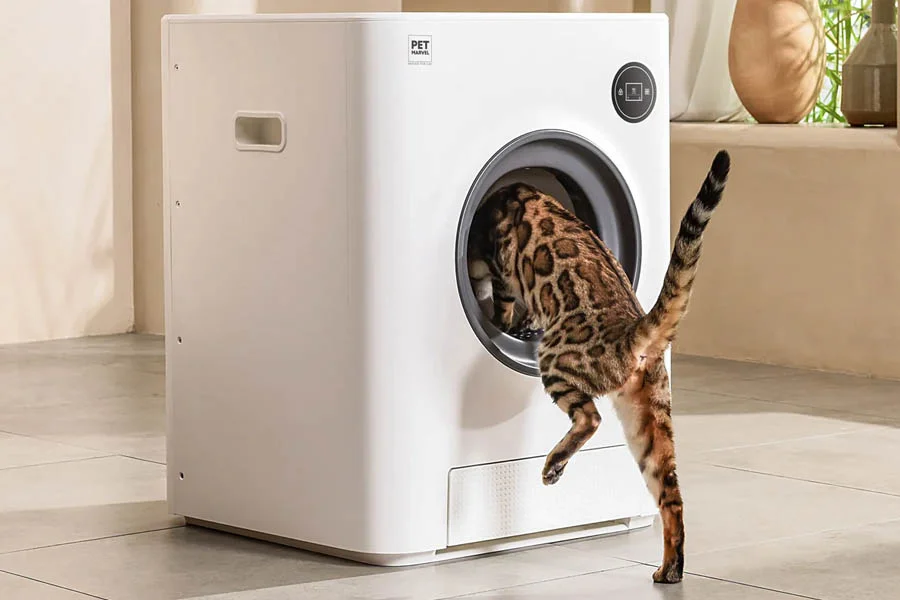 Auto Cat Litter