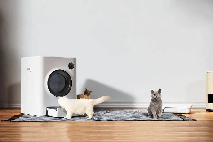 Best Scoop Free Litter Box